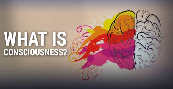 what is consciousness