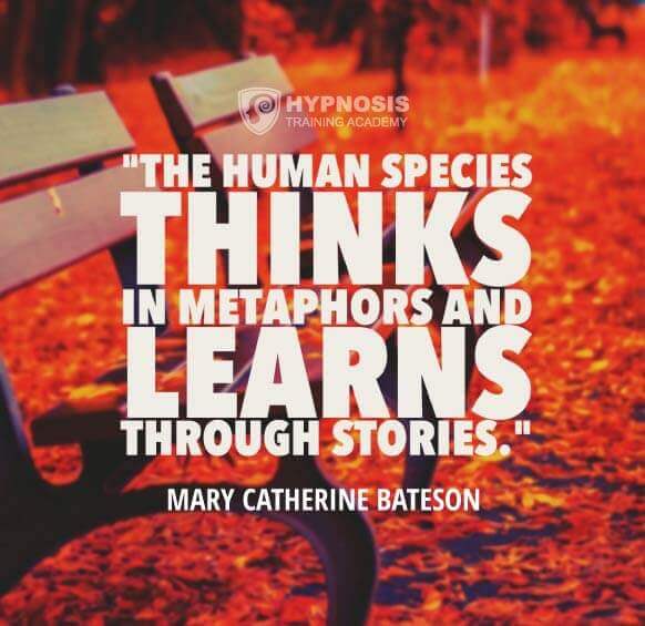 mary catherine bateson quotes metaphors
