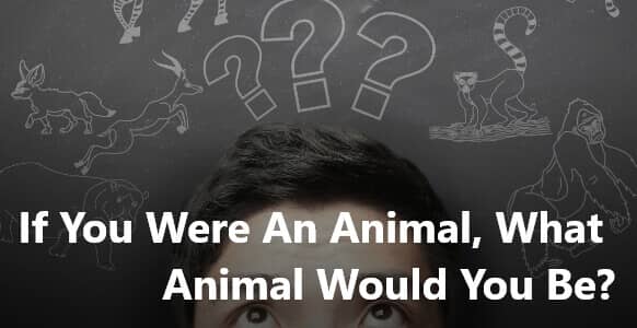 [VIDEO TRAINING] Deep Conversation Coaching – “If You Were An Animal, What Animal Would You Be?”